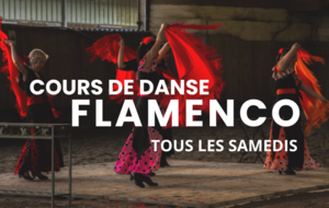 COURS DE DANSE  Flamenco 